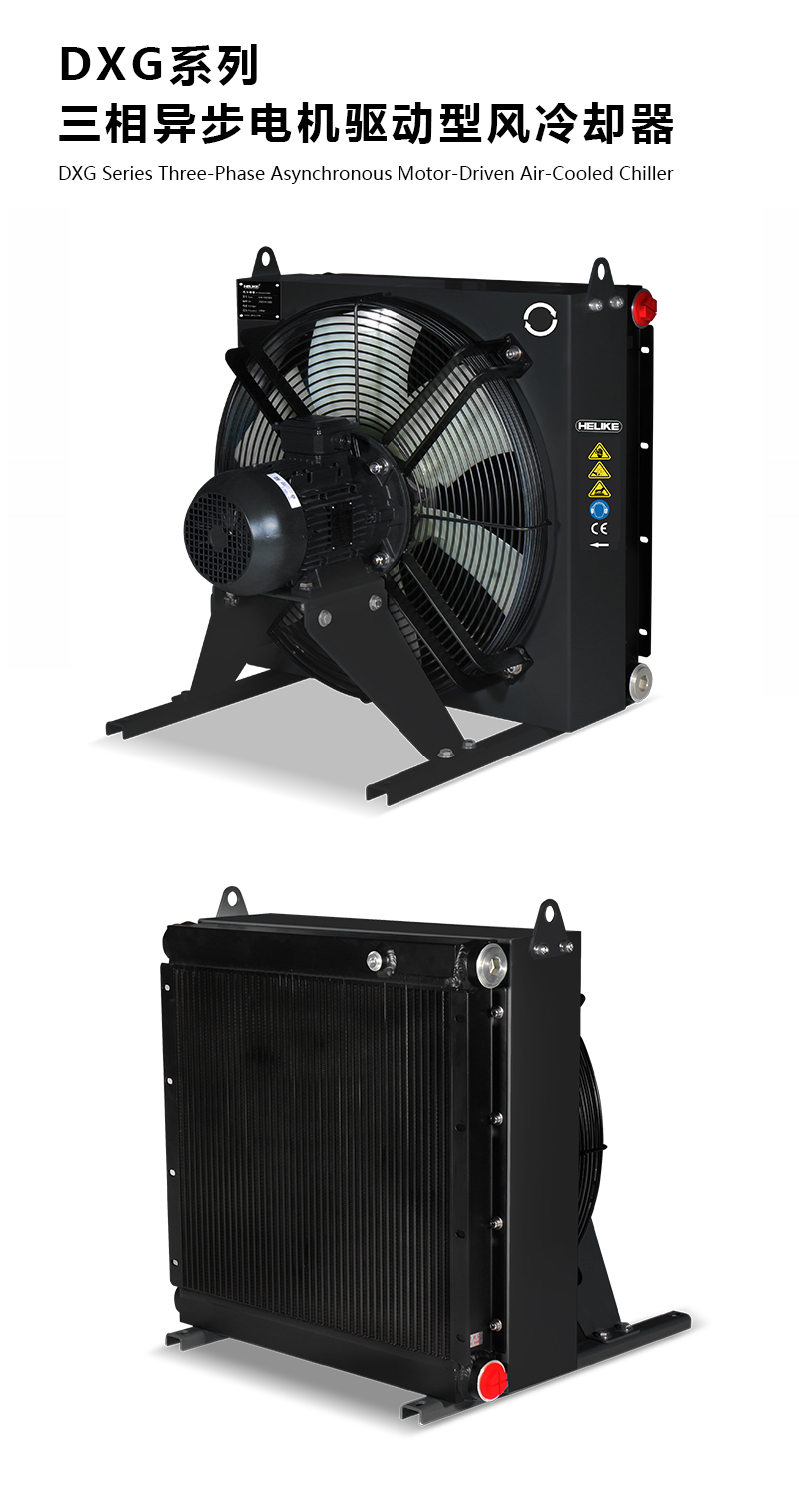 1770108440381259.jpg DXG.jpg